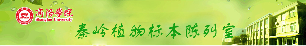 生物医药与食品工程学院